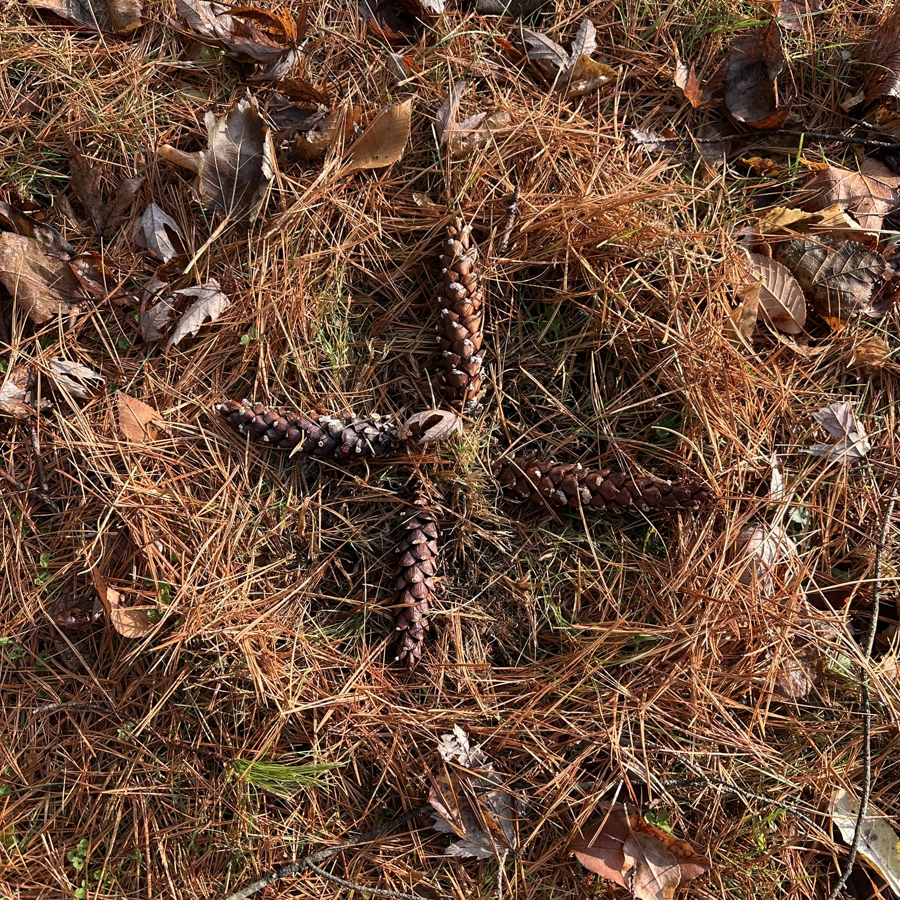 on “grounding”